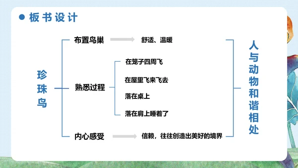 《珍珠鸟》五年级语文课件PPT模板