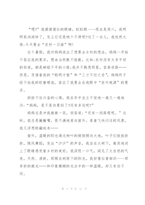 描写微光高考作文题5篇.docx