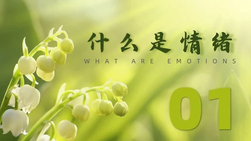 简约风情绪与健康培训PPT模板