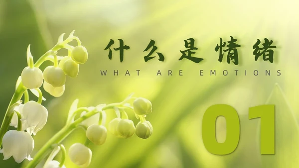 简约风情绪与健康培训PPT模板