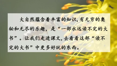 第22课 《读不完的大书》 课件