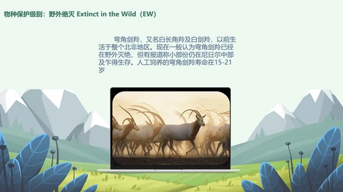世界动物日小动物集合PPT模板