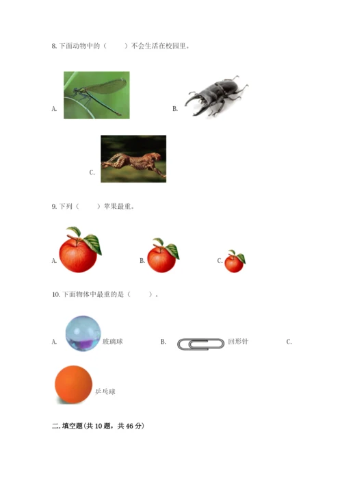 教科版一年级下册科学期末测试卷【综合卷】.docx