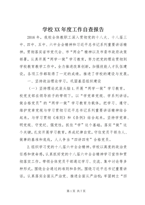 学校XX年度工作自查报告.docx