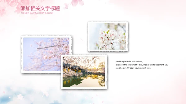 唯美浪漫十里桃花开樱花节樱花季桃花ppt