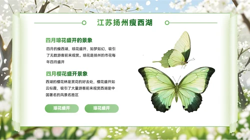 绿色创意风节PPT模板_赏花季的浪漫旅行地PPT模板