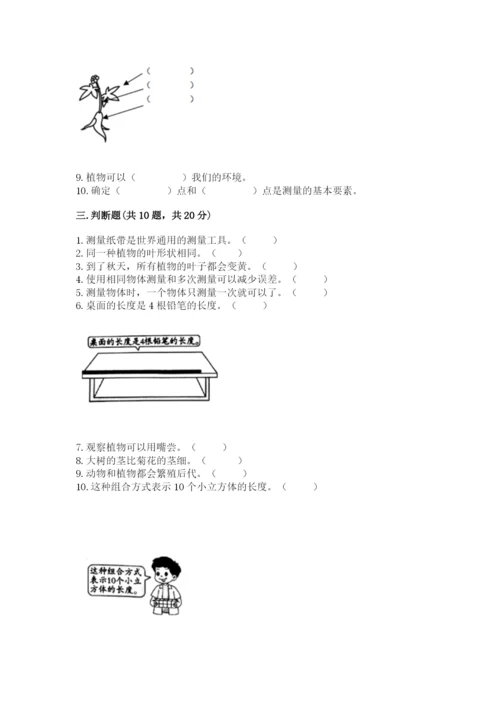 教科版一年级上册科学期末测试卷【黄金题型】.docx