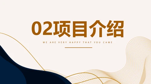 高端稳重大气商业计划书商务PPT动态