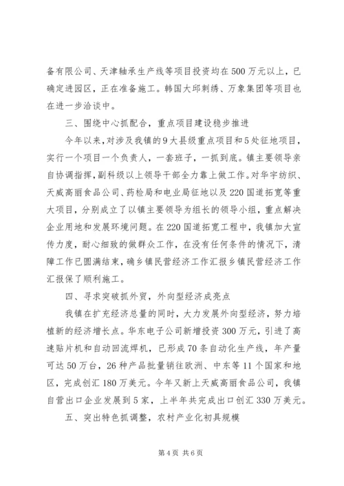 乡镇民营经济工作汇报.docx