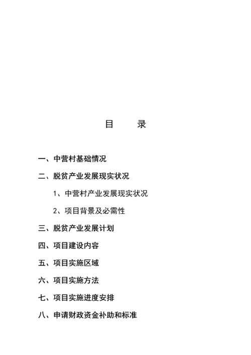 扶贫工厂实施专项方案.docx