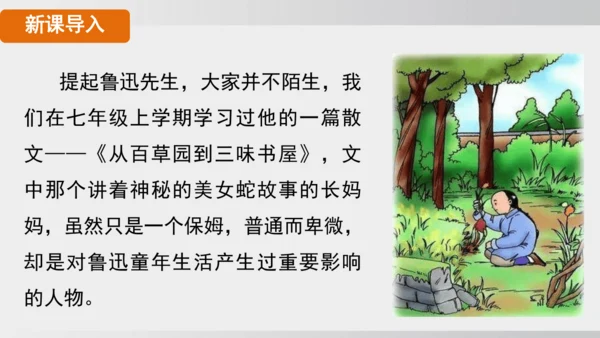 10.阿长与《山海经》 课件