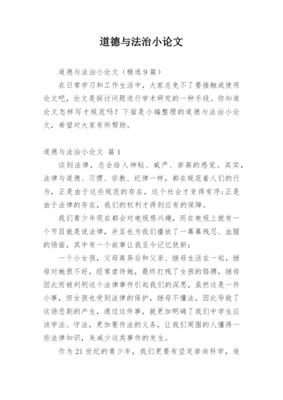 道德与法治小论文.docx