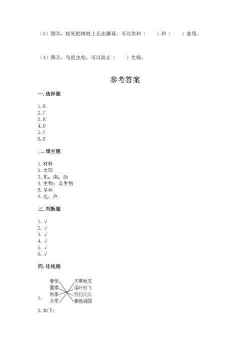 教科版二年级上册科学期末测试卷含答案【实用】.docx
