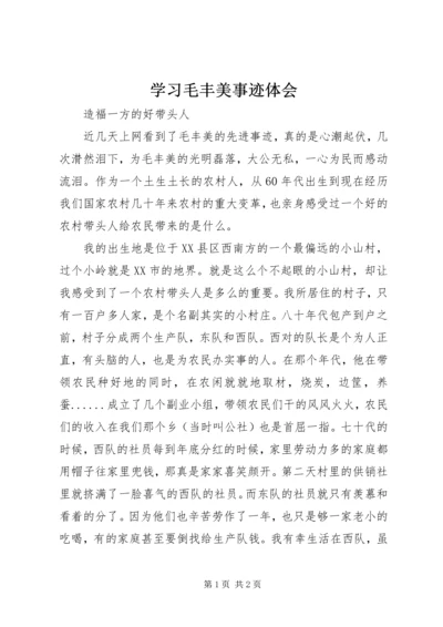 学习毛丰美事迹体会.docx