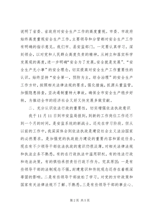 安监局党组理论学习报告.docx