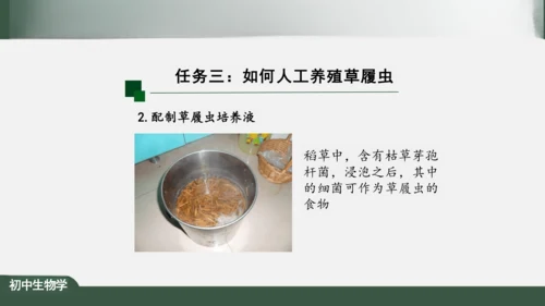 2.2.4 单细胞生物 课件（共24张PPT）