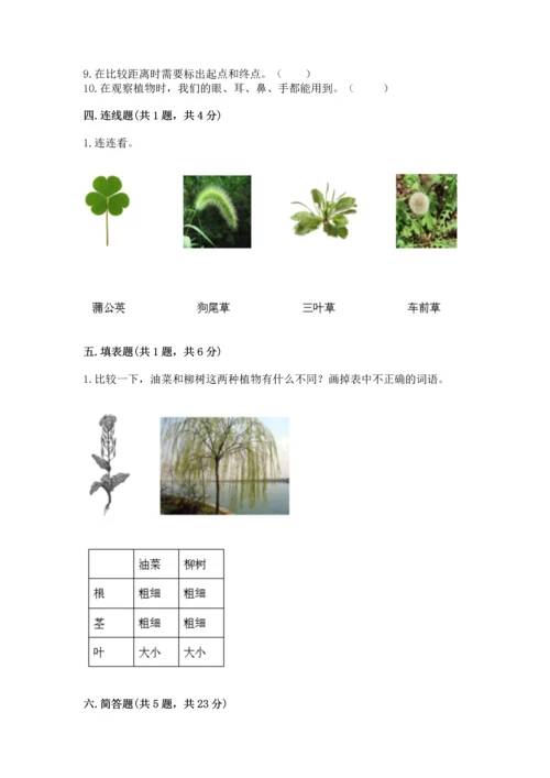 教科版科学一年级上册期末测试卷新版.docx