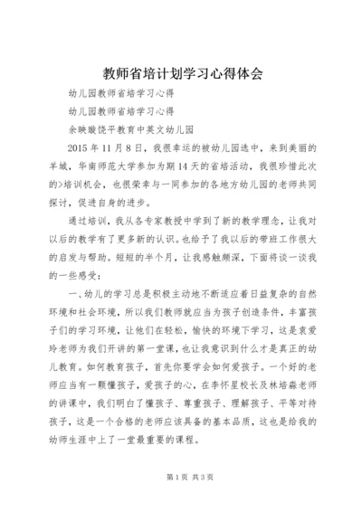 教师省培计划学习心得体会 (3).docx