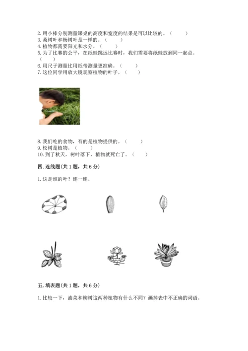 教科版一年级上册科学期末测试卷附参考答案【满分必刷】.docx