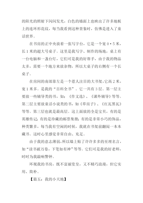 我的小天地作文开头.docx