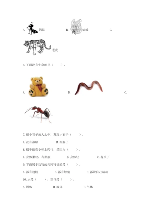 教科版一年级下册科学期末测试卷精品（含答案）.docx