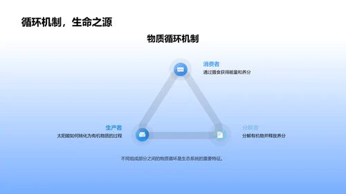 生态系统初探PPT模板