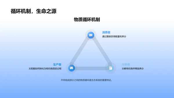 生态系统初探PPT模板