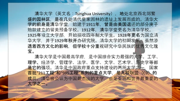 沙漠旅途理想PPT模板