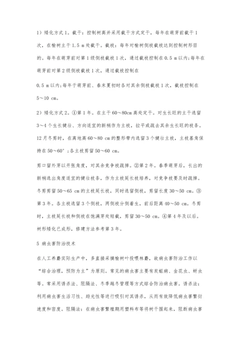 人工养麝叶食源榆树丰产栽培技术.docx