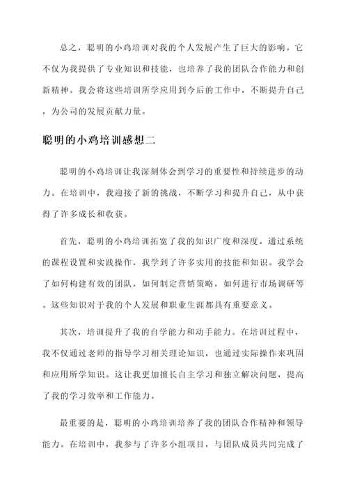 聪明的小鸡培训感想