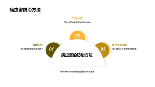 油料种植：新机遇与挑战