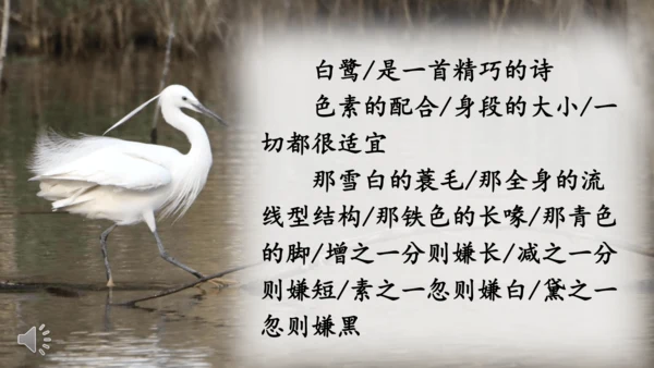 1 白鹭   课件