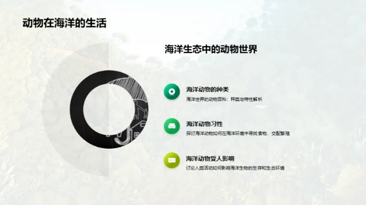 动物世界的奥秘