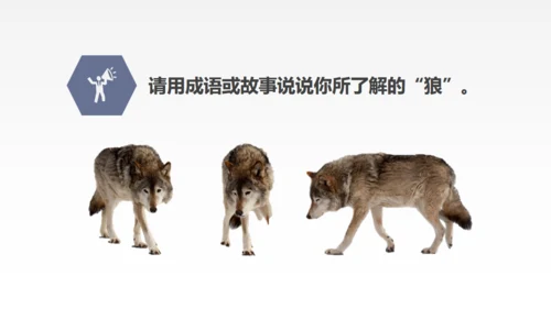 蒲松龄《狼》语文教学通用PPT教学课件