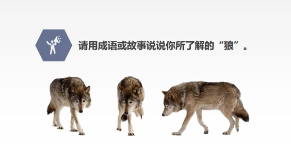 蒲松龄《狼》语文教学通用PPT教学课件