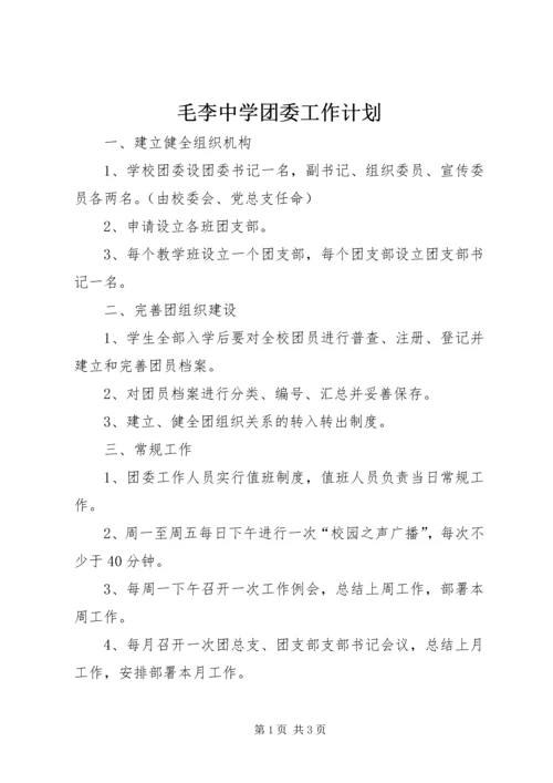 毛李中学团委工作计划 (2).docx