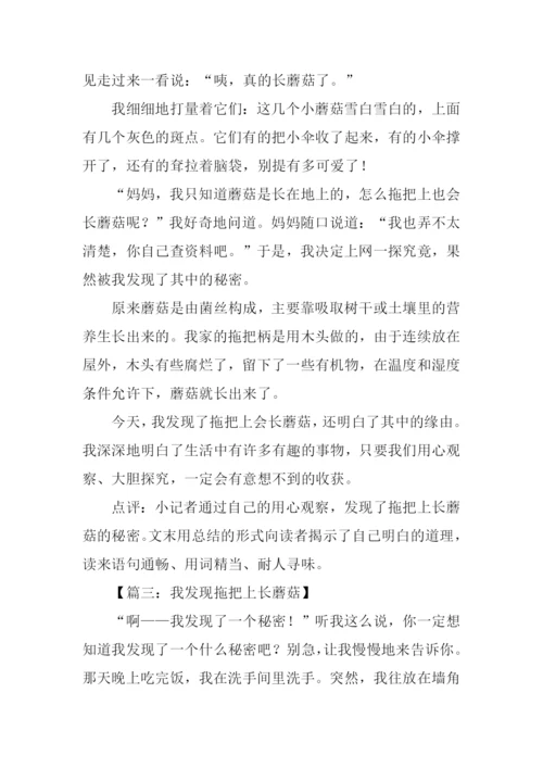 拖把上长蘑菇作文.docx
