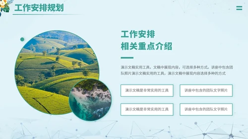 绿色清新文艺风大学生职业生涯规划PPT模板