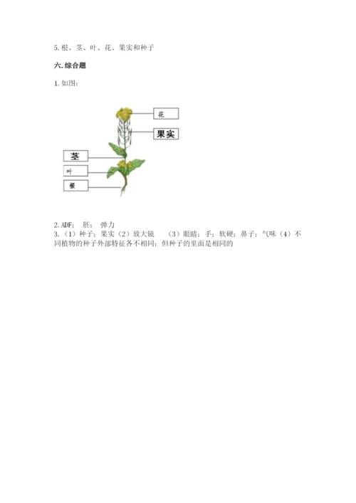 科学四年级下册第一单元《植物的生长变化》测试卷附完整答案【名师系列】.docx