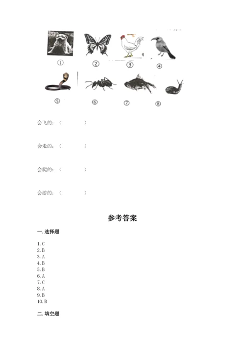 教科版一年级下册科学期末测试卷附答案（夺分金卷）.docx