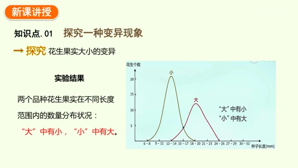7.2.5生物的变异-八年级生物人教版下学期同步精品课件(共34张PPT)