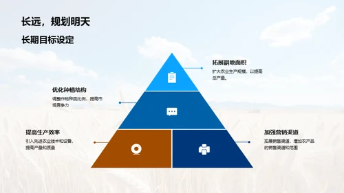 年度农业评估报告