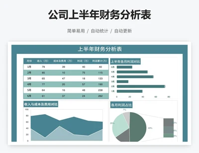 公司上半年财务分析表