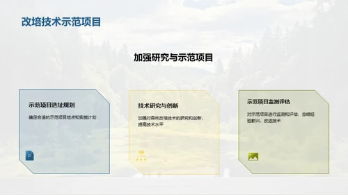 森林改培：新绿未来