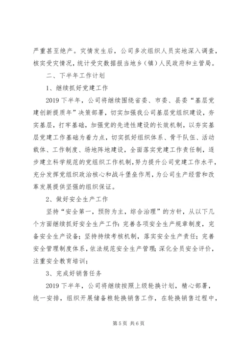 粮库公司上半年工作总结和下半年工作计划.docx