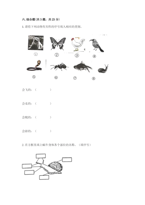 教科版一年级下册科学期末测试卷含答案下载.docx