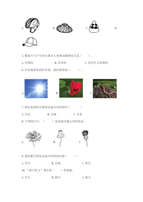 教科版二年级上册科学期末测试卷精品【黄金题型】.docx