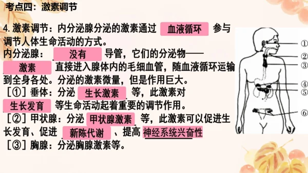 第四单元第五、六章复习课件(共33张PPT)人教版七年级下册
