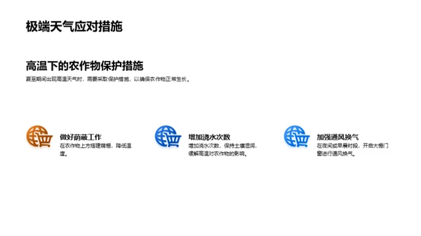 夏至农业策略