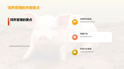 养猪新视角：效率与品质双提升